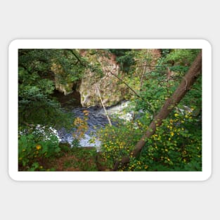 Bodetal, Bode, river, brook,, Thale, Harz, Germany, autumn Sticker